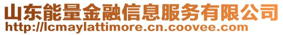 山東能量金融信息服務(wù)有限公司