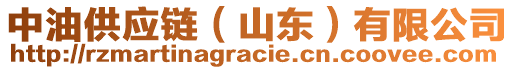 中油供應鏈（山東）有限公司
