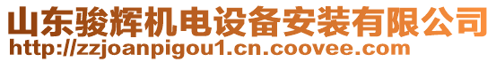 山東駿輝機(jī)電設(shè)備安裝有限公司