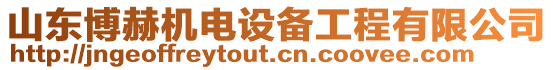 山東博赫機(jī)電設(shè)備工程有限公司