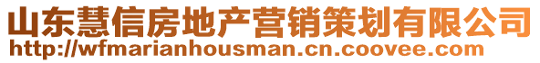 山东慧信房地产营销策划有限公司