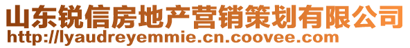 山東銳信房地產(chǎn)營銷策劃有限公司