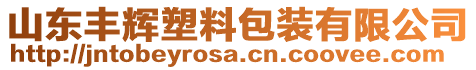 山東豐輝塑料包裝有限公司
