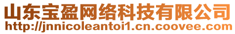 山東寶盈網(wǎng)絡科技有限公司