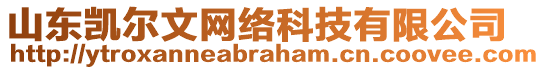 山東凱爾文網(wǎng)絡(luò)科技有限公司