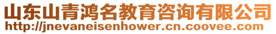 山東山青鴻名教育咨詢有限公司