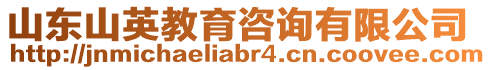 山東山英教育咨詢有限公司