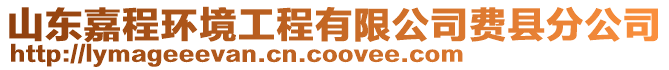 山東嘉程環(huán)境工程有限公司費(fèi)縣分公司