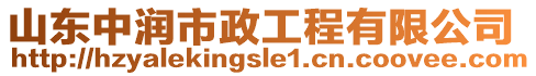 山東中潤(rùn)市政工程有限公司