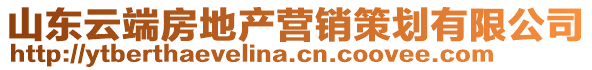 山東云端房地產(chǎn)營(yíng)銷策劃有限公司