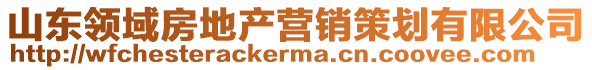 山東領(lǐng)域房地產(chǎn)營銷策劃有限公司