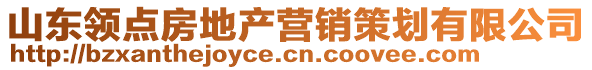 山東領(lǐng)點(diǎn)房地產(chǎn)營(yíng)銷(xiāo)策劃有限公司