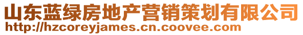 山東藍(lán)綠房地產(chǎn)營銷策劃有限公司