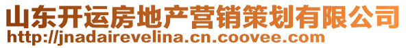 山東開運房地產(chǎn)營銷策劃有限公司