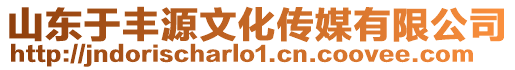 山東于豐源文化傳媒有限公司