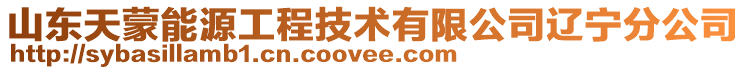 山東天蒙能源工程技術有限公司遼寧分公司