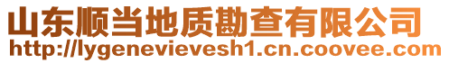 山東順當(dāng)?shù)刭|(zhì)勘查有限公司