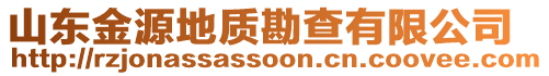 山東金源地質勘查有限公司