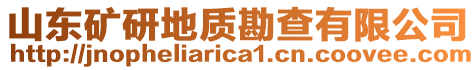 山東礦研地質(zhì)勘查有限公司