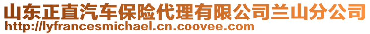 山東正直汽車保險代理有限公司蘭山分公司