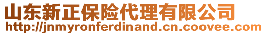 山東新正保險代理有限公司