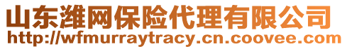 山東濰網(wǎng)保險代理有限公司