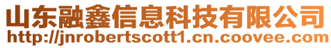 山東融鑫信息科技有限公司