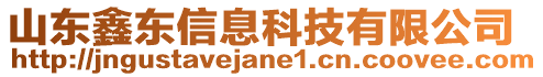 山東鑫東信息科技有限公司