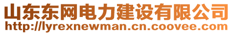 山東東網電力建設有限公司