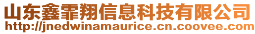 山東鑫霏翔信息科技有限公司