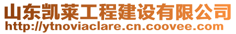 山東凱萊工程建設(shè)有限公司