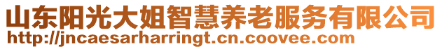 山東陽光大姐智慧養(yǎng)老服務(wù)有限公司