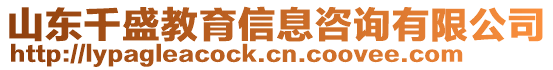 山東千盛教育信息咨詢有限公司