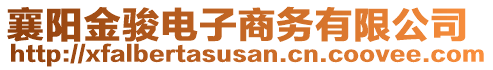 襄陽(yáng)金駿電子商務(wù)有限公司