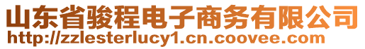 山東省駿程電子商務(wù)有限公司