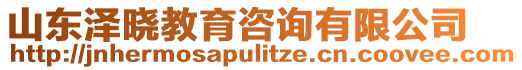 山東澤曉教育咨詢有限公司