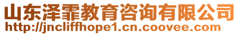 山東澤霏教育咨詢有限公司