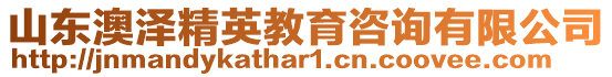 山東澳澤精英教育咨詢有限公司