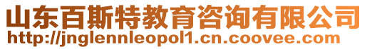 山東百斯特教育咨詢有限公司