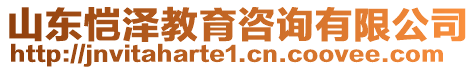 山東愷澤教育咨詢有限公司