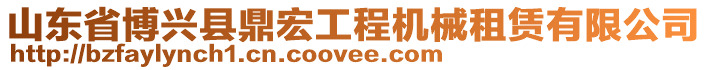 山東省博興縣鼎宏工程機(jī)械租賃有限公司