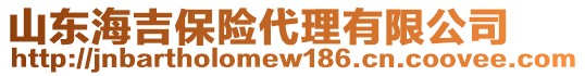 山东海吉保险代理有限公司