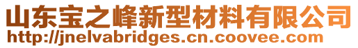 山東寶之峰新型材料有限公司