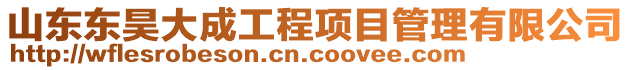 山东东昊大成工程项目管理有限公司