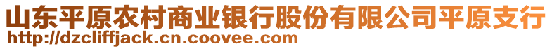 山东平原农村商业银行股份有限公司平原支行