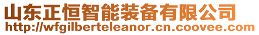 山東正恒智能裝備有限公司