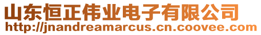 山東恒正偉業(yè)電子有限公司