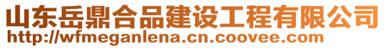 山東岳鼎合品建設(shè)工程有限公司