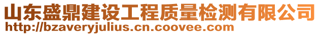 山東盛鼎建設工程質量檢測有限公司