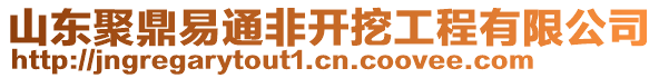 山東聚鼎易通非開挖工程有限公司